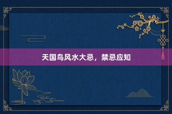 天国鸟风水大忌，禁忌应知