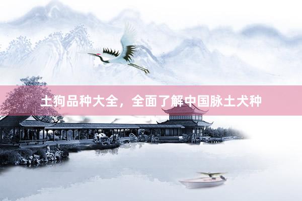 土狗品种大全，全面了解中国脉土犬种