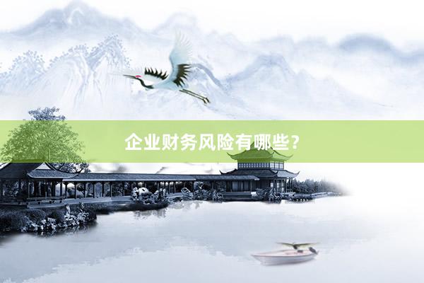 企业财务风险有哪些？
