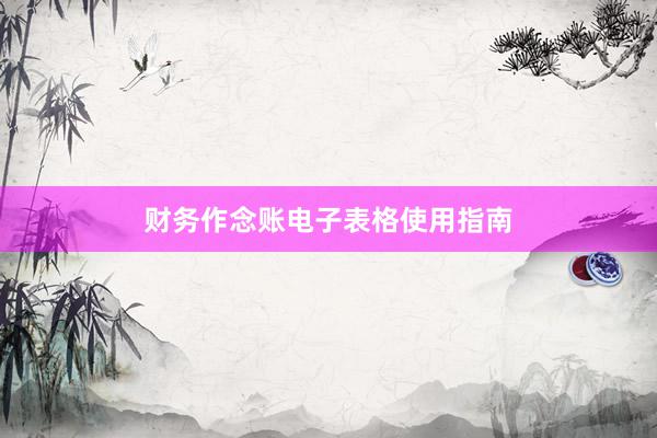 财务作念账电子表格使用指南
